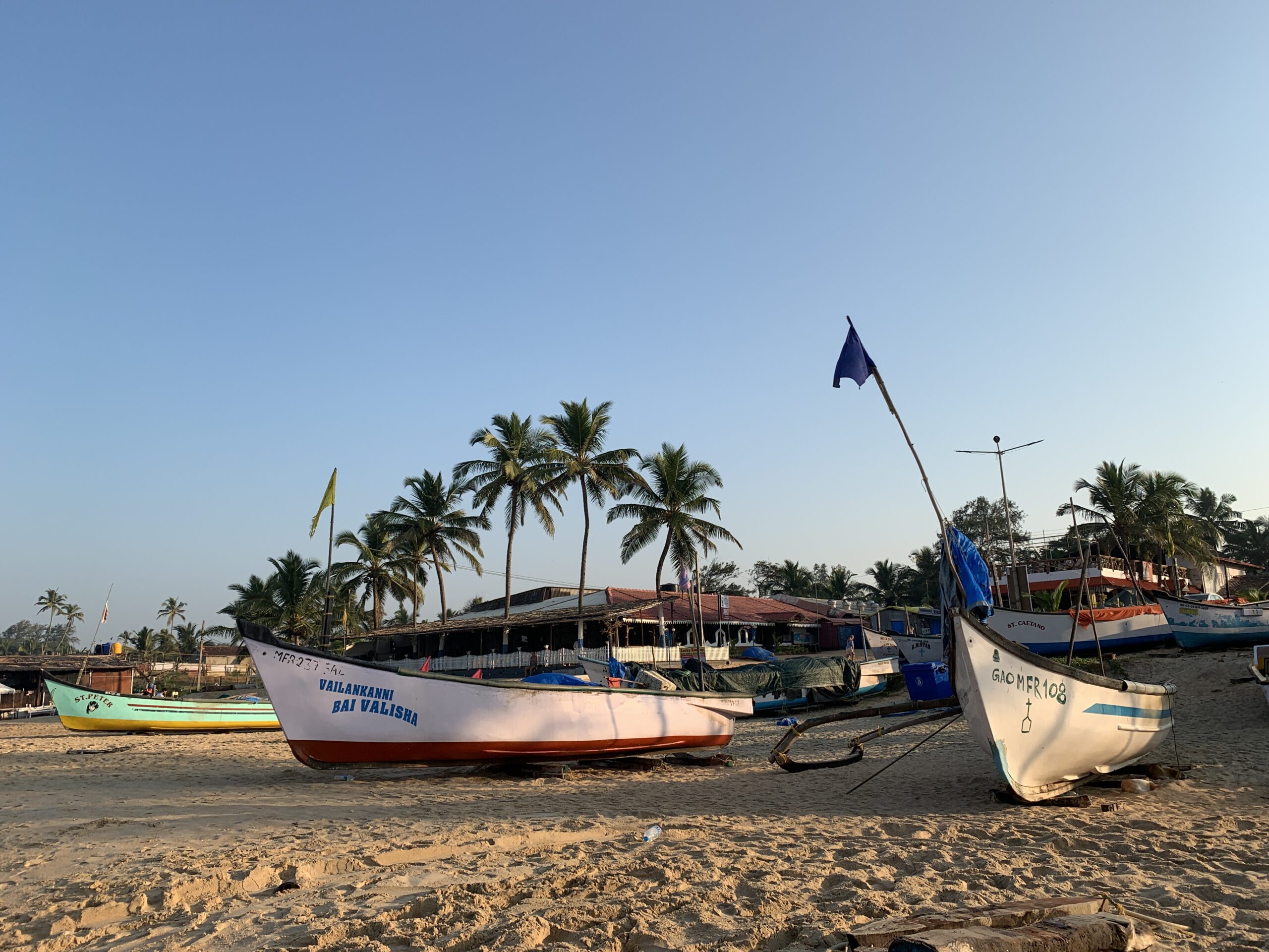 20191211_Benaulim_4885